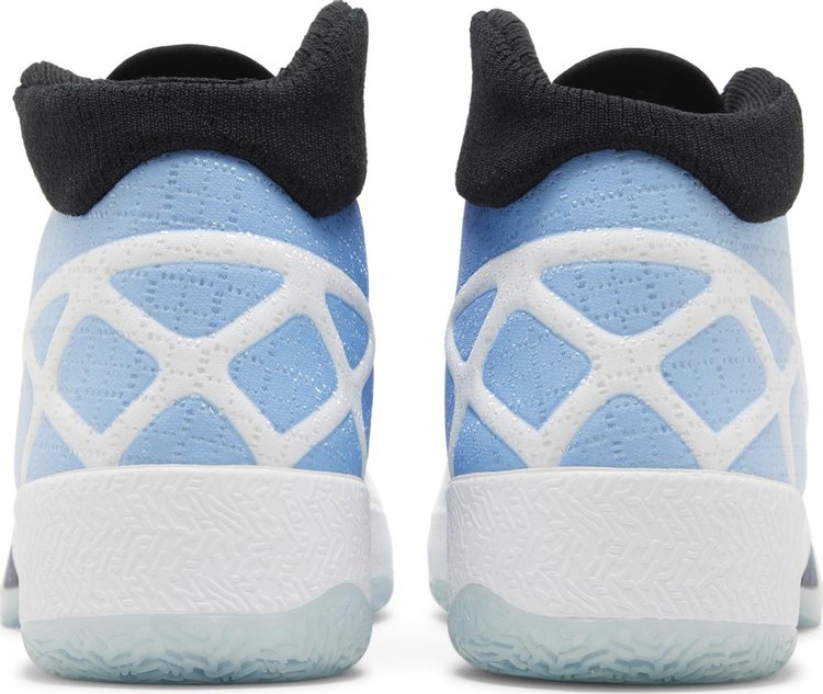 Air Jordan 30 UNC