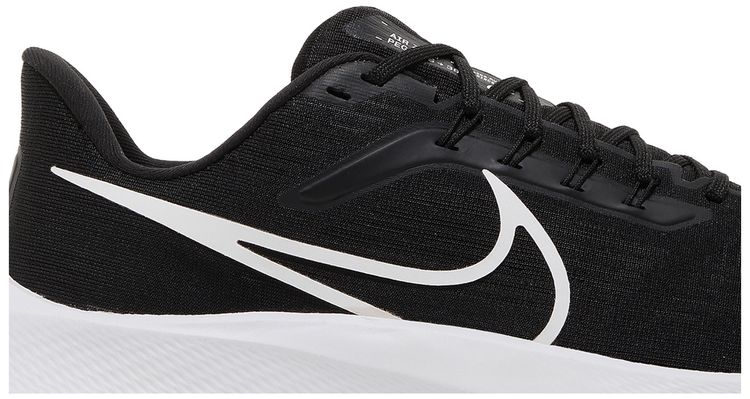 Nike Air Zoom Pegasus 39 TB Black Dark Smoke Grey