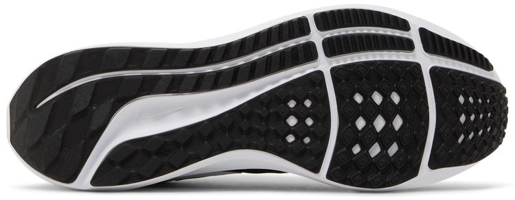 Nike Air Zoom Pegasus 39 TB Black Dark Smoke Grey