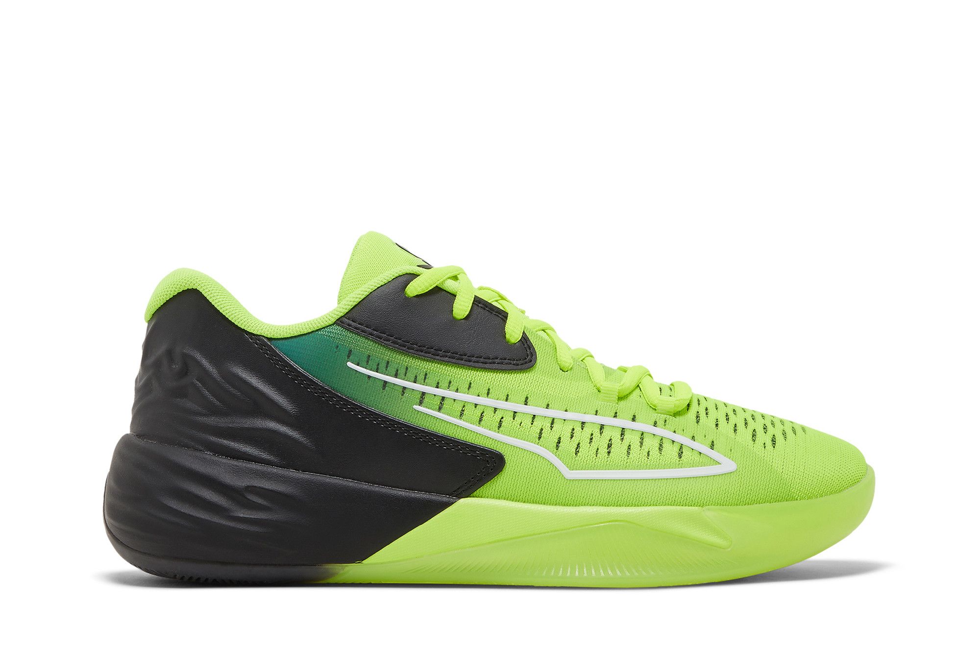 Spadri puma 2019 sales