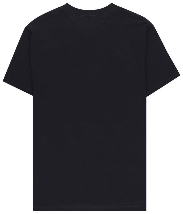 Pleasures Fountain T Shirt Black