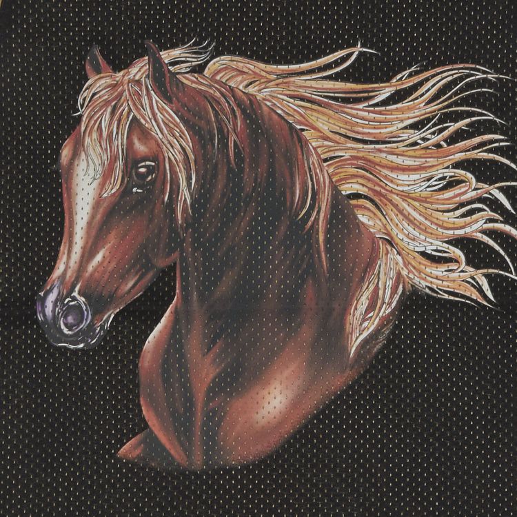 Supreme Mustang Reversible Basketball Jersey Black