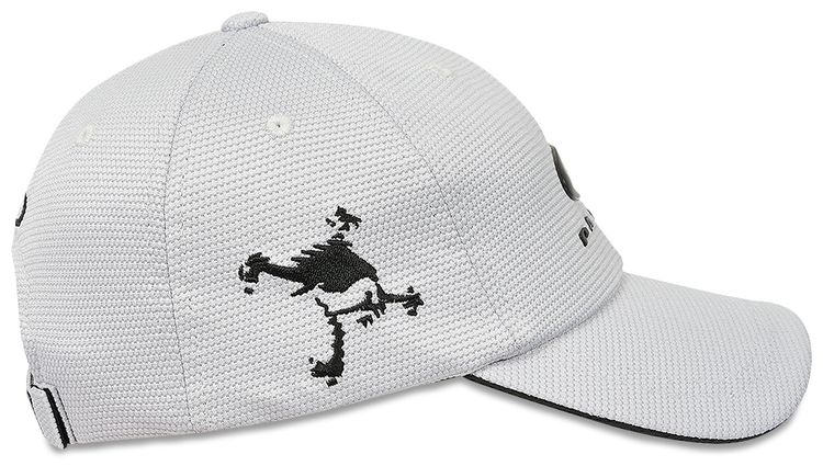 Palace x Oakley 6 Panel SilverBlack