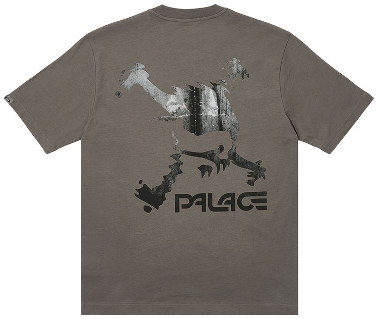 Palace x Oakley T Shirt Grey