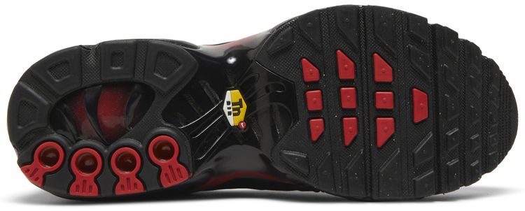 Nike Air Max Plus GS Bred Gradient