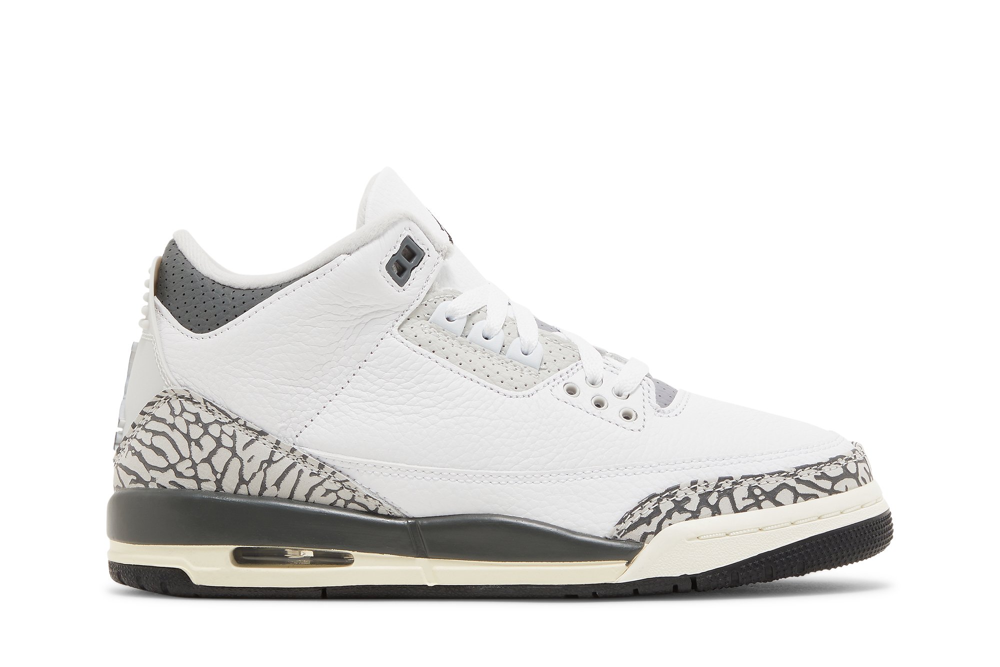 Air Jordan 3 Retro GS 'Hide N' Sneak'