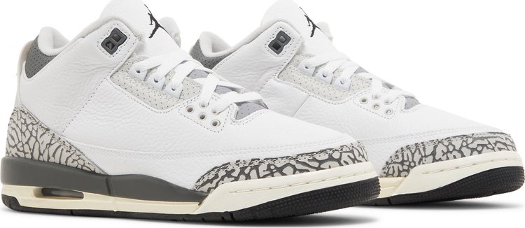 Air Jordan 3 Retro GS Hide N Sneak