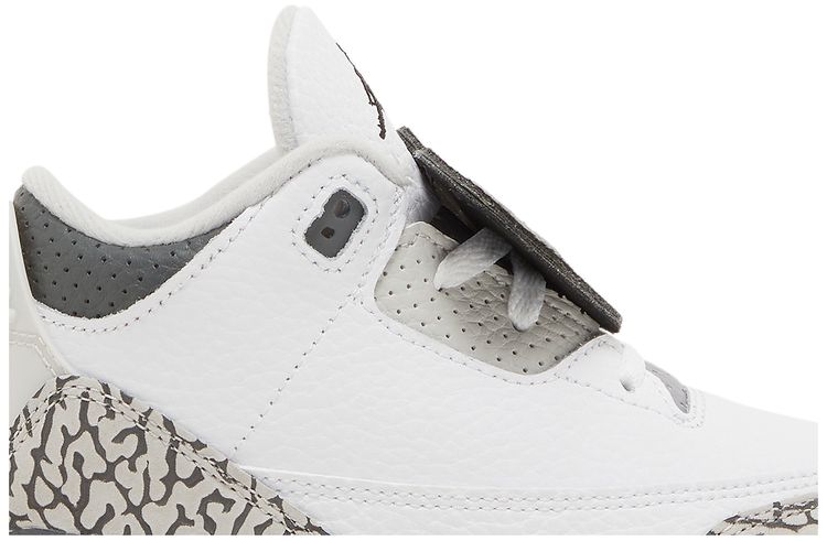 Air Jordan 3 Retro TD Hide N Sneak