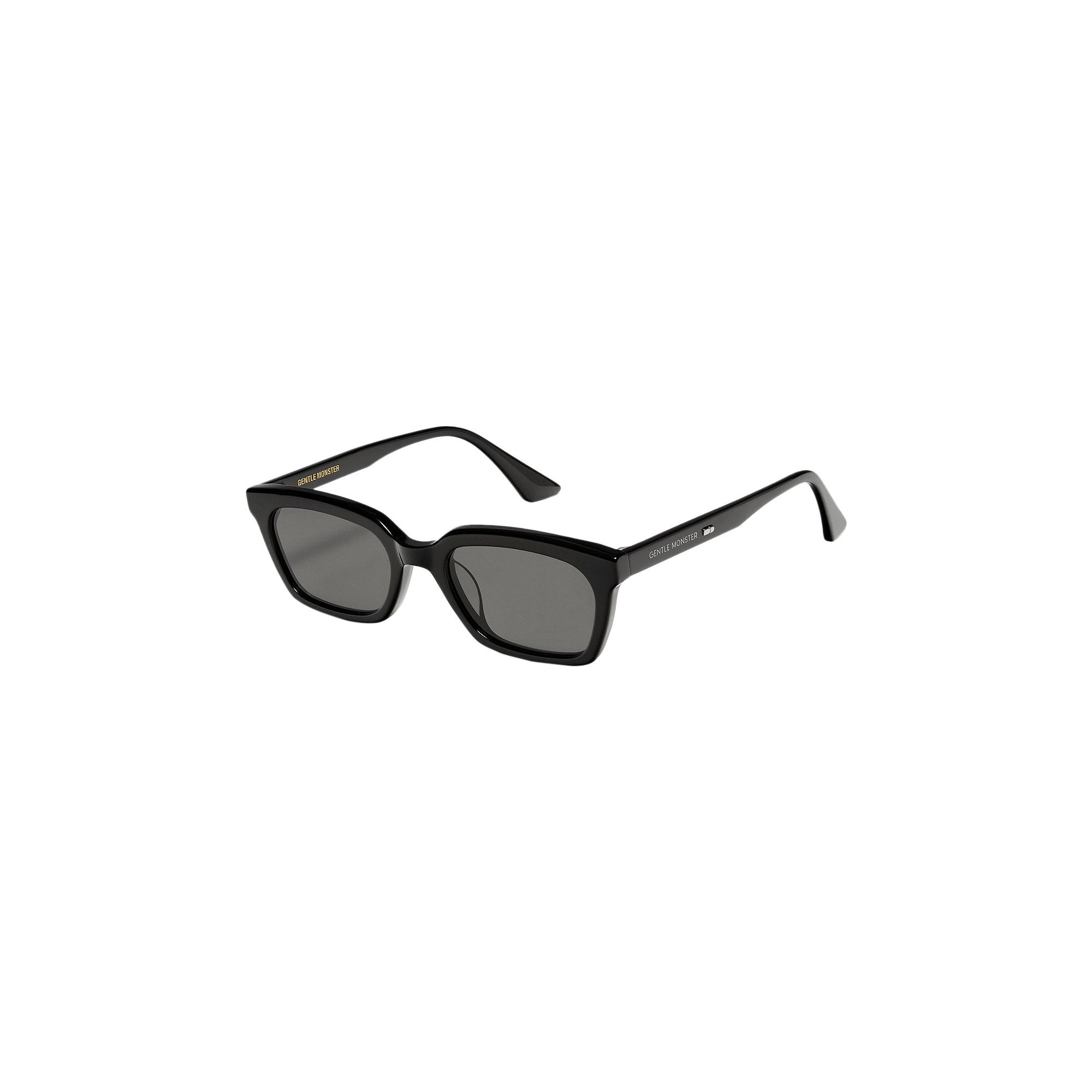 Buy Gentle Monster Didion 01 Tinted Sunglasses 'Black
