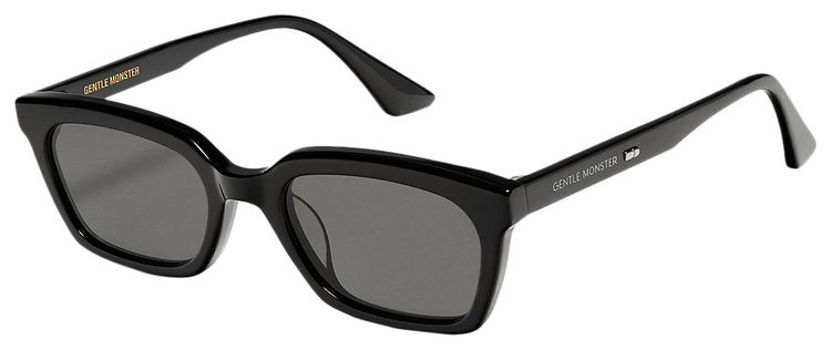 Gentle Monster Didion 01 Tinted Sunglasses Black