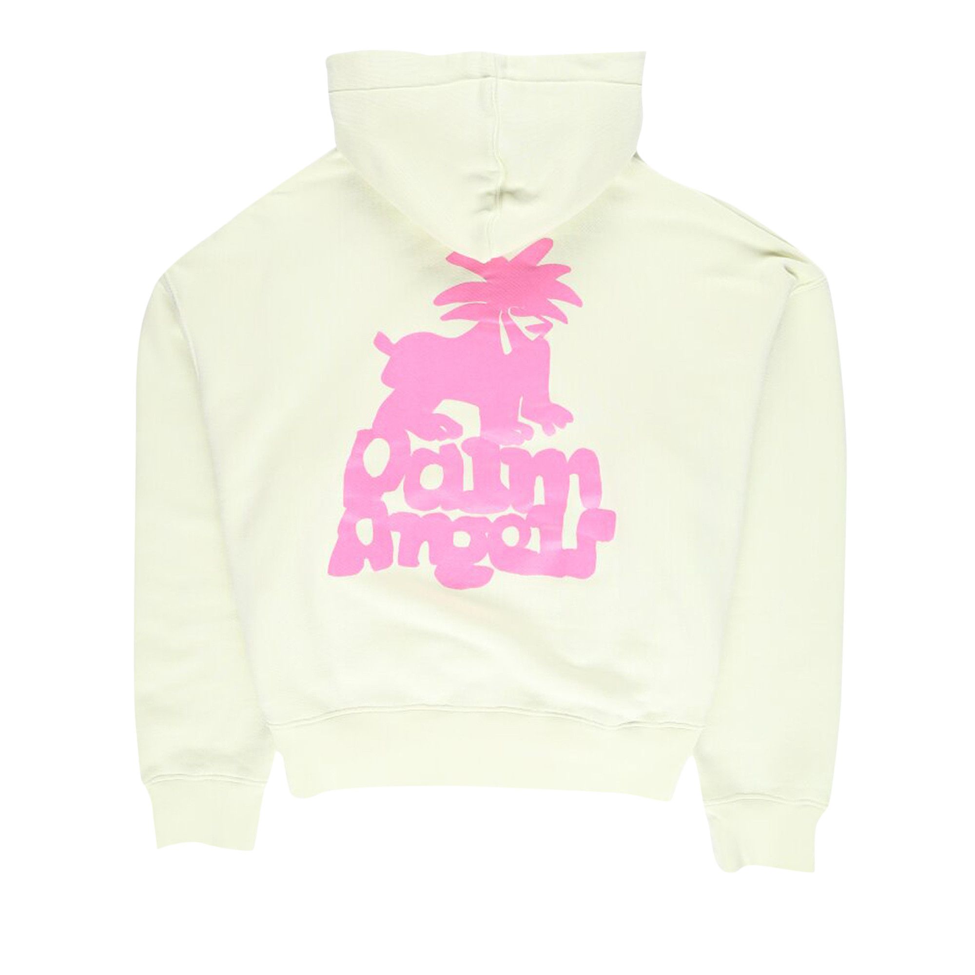 Buy Palm Angels Leon Classic Hoodie 'Pale Green/Fuchsia