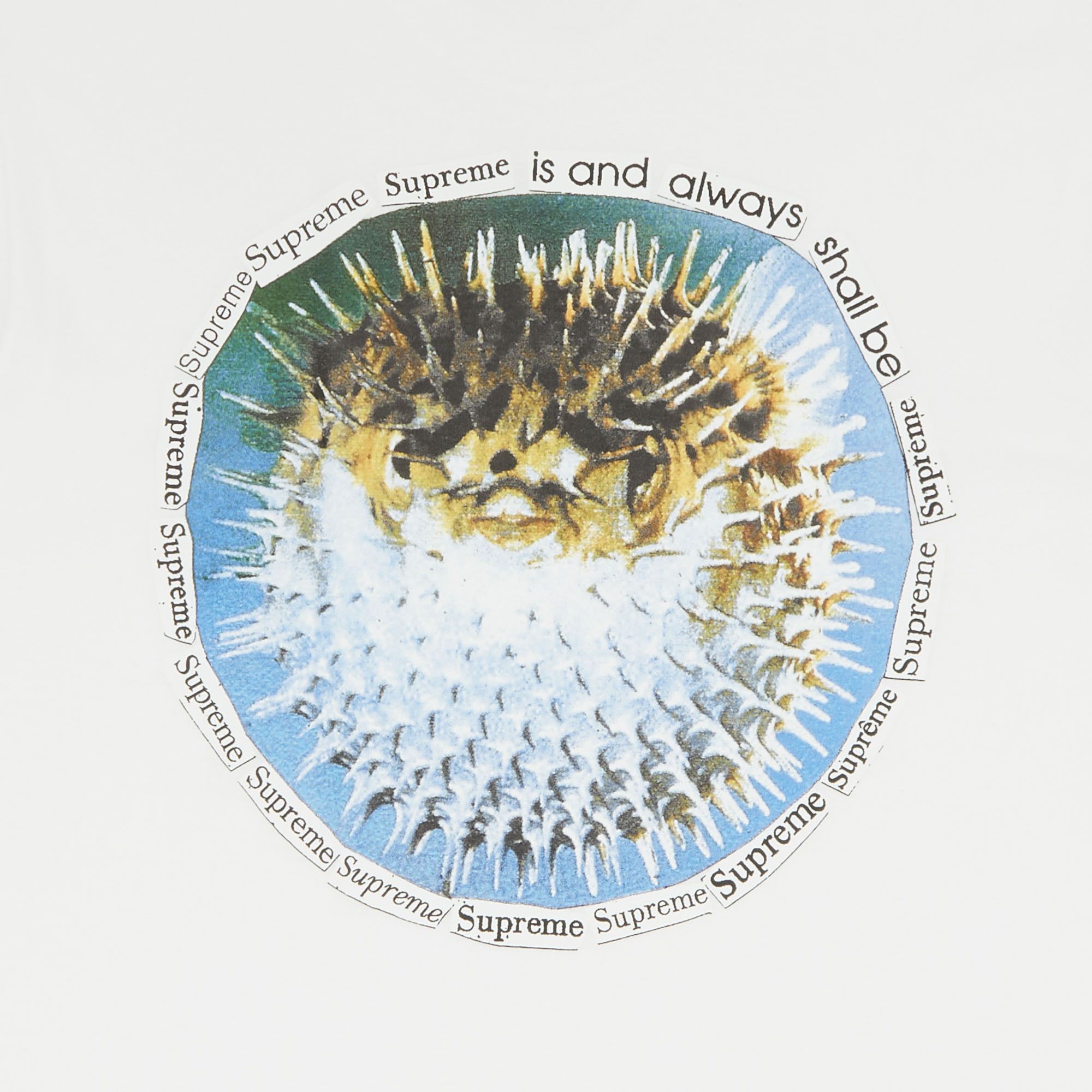 Supreme Blowfish Tee ホワイト Buy Supreme Blowfish Tee 'White' - SS23T68 WHITE | GOAT CA