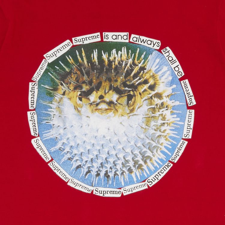 Supreme Blowfish Tee Red