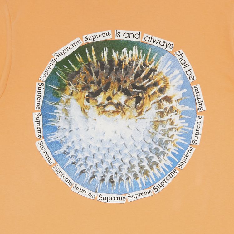 Supreme Blowfish Tee Peach