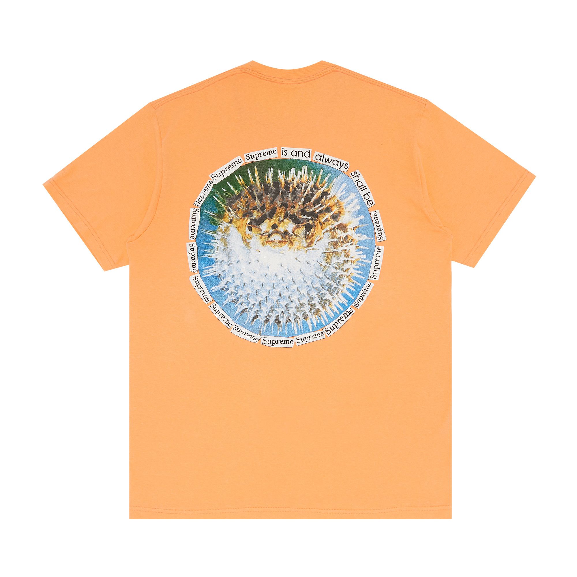 ★2023SS WEEK18★Supreme Blowfish Tee s-l400.jpg