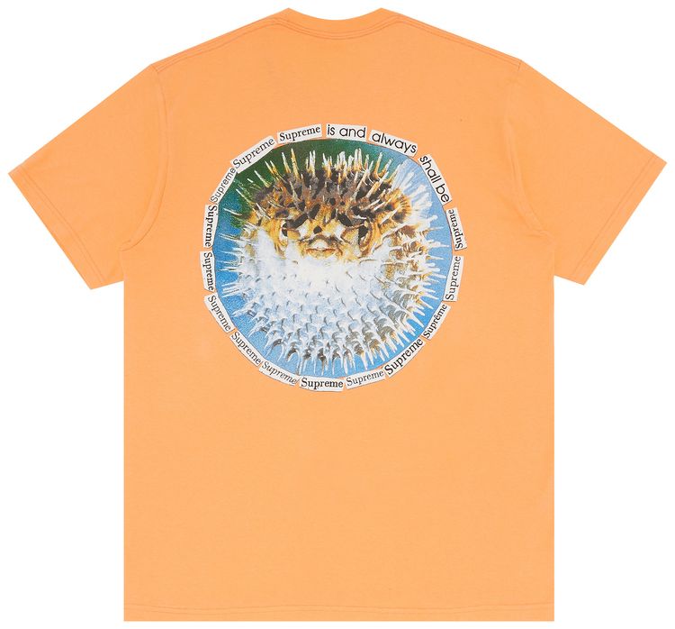 Supreme Blowfish Tee Peach
