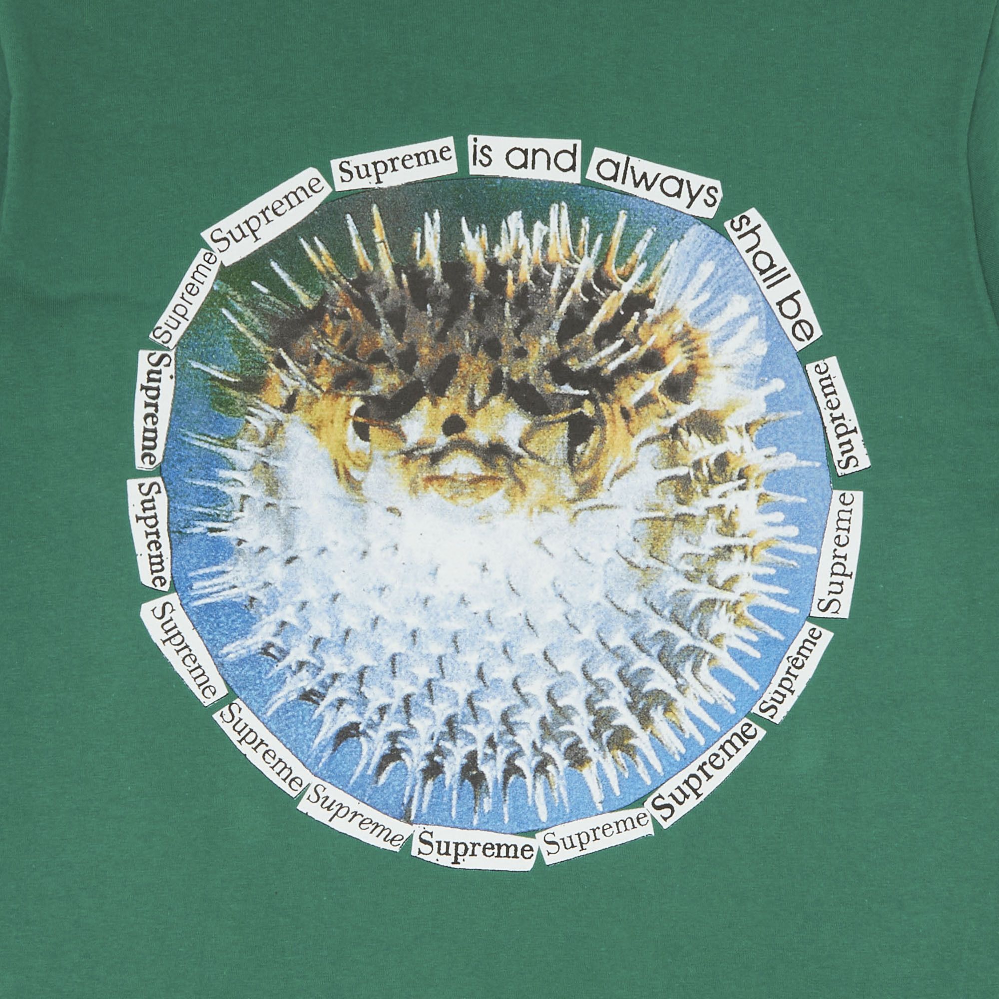 Buy Supreme Blowfish Tee 'Light Pine' - SS23T68 LIGHT PINE
