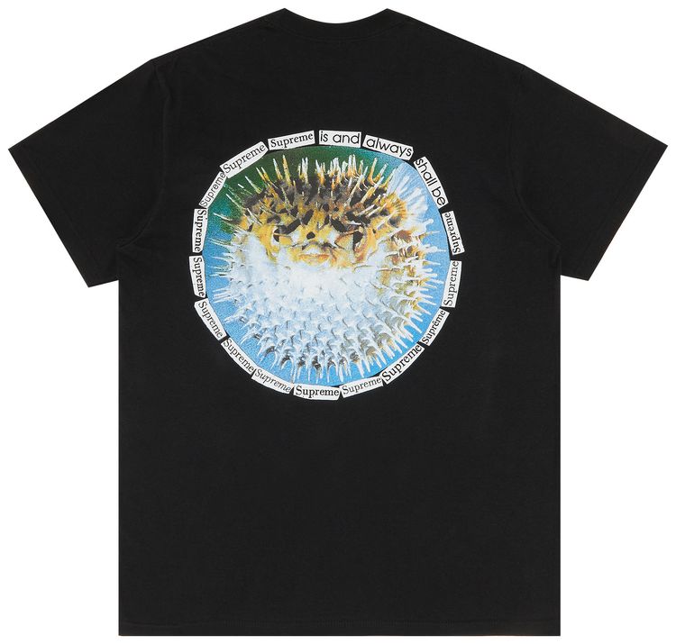 Supreme Blowfish Tee Black