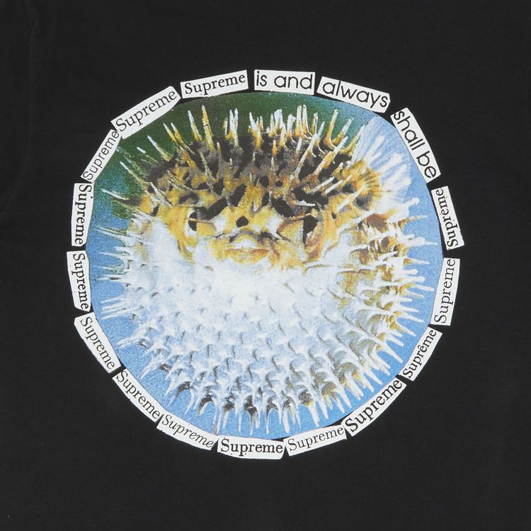 Supreme Blowfish Tee Black