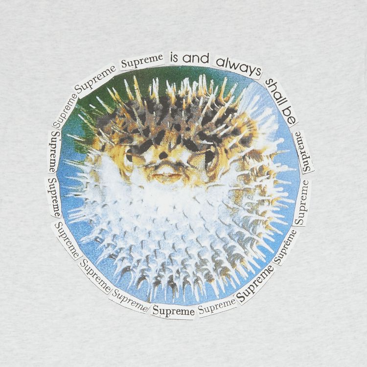 Supreme Blowfish Tee Ash Grey