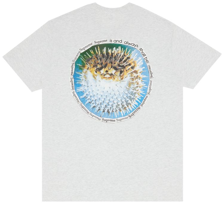 Supreme Blowfish Tee Ash Grey