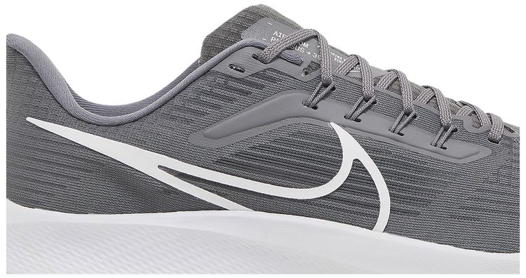 Nike Air Zoom Pegasus 39 TB Gunsmoke