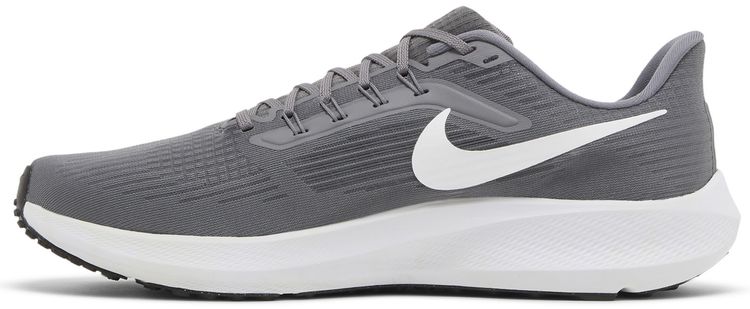 Nike Air Zoom Pegasus 39 TB Gunsmoke