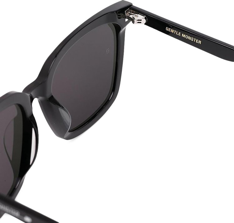 Gentle Monster Tega 01 Sunglasses Black