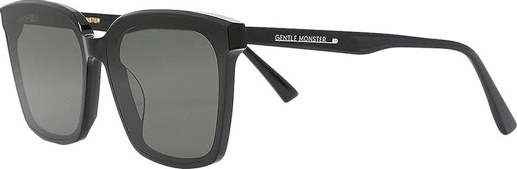 Gentle Monster Tega 01 Sunglasses Black