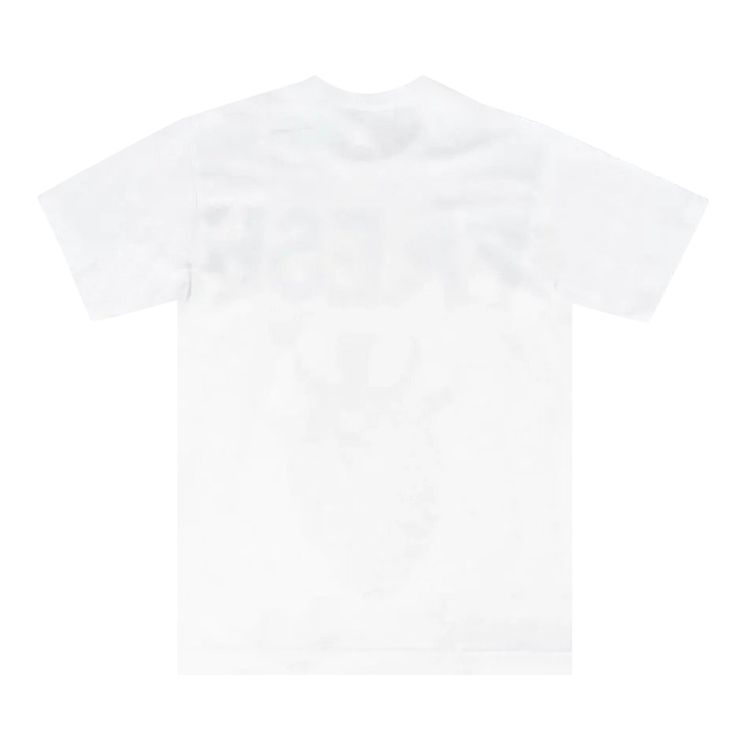 Comme des Garcons SHIRT Fresh Strawberry Print T Shirt White