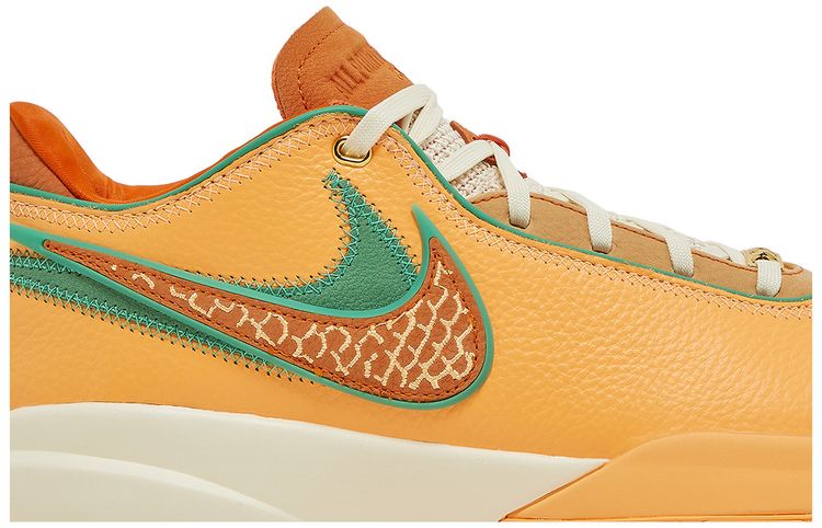 apb lebron famu shoes