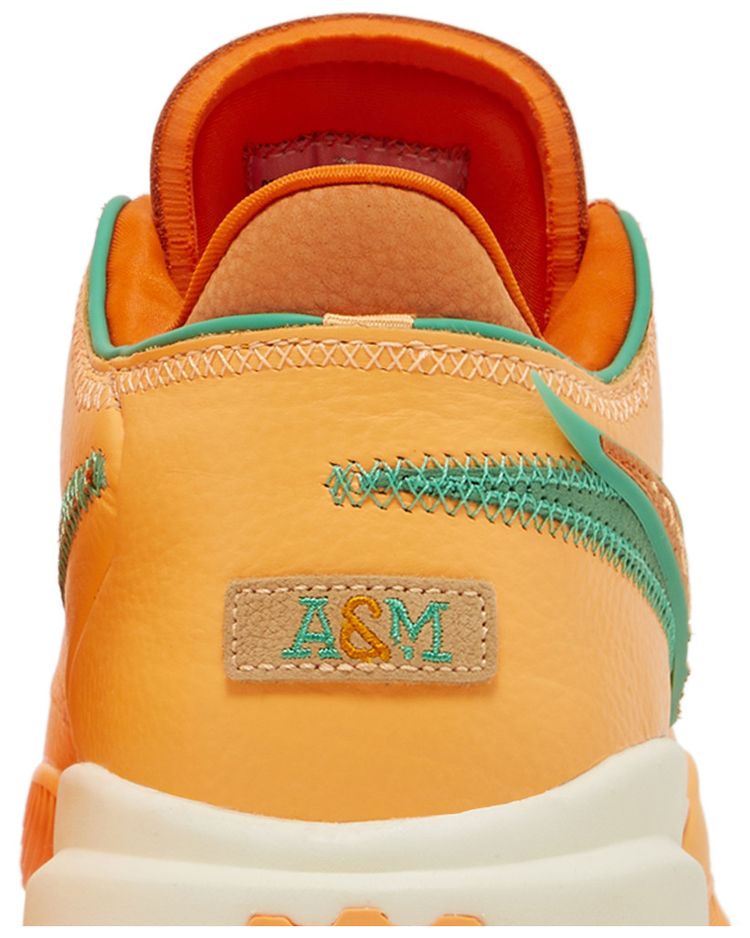 Florida AM University x APB x Nike LeBron 20 From Tally To The World   Peach