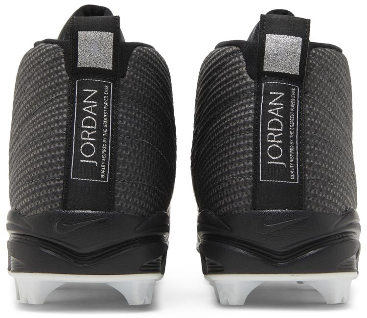 Air Jordan 12 Retro MCS