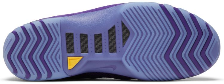 Air Zoom Generation Retro Court Purple