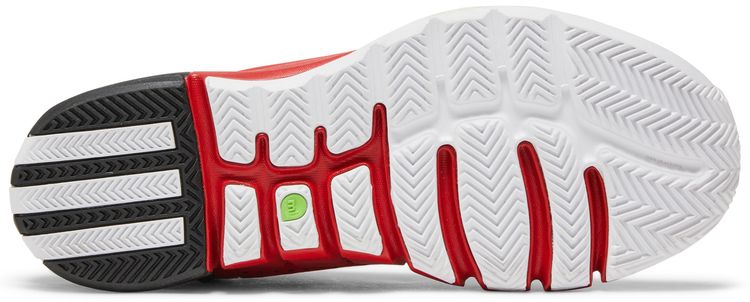 Adidas D Rose 4 EVO Brenda