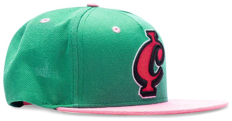 Icecream Make Sense Snapback Hat Tidepool