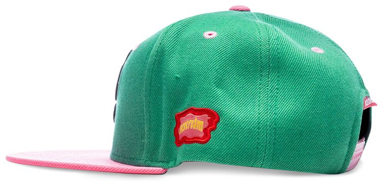 Icecream Make Sense Snapback Hat Tidepool