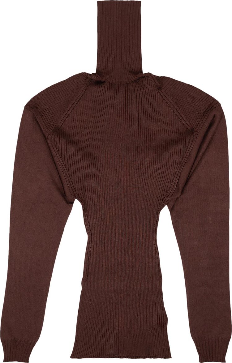 Bottega Veneta Ribbed Turtleneck Sweater 'Maroon'