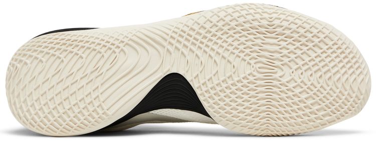 Converse All Star BB Shift Low First Game Check