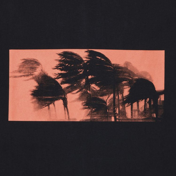 OAMC Palms T Shirt Black