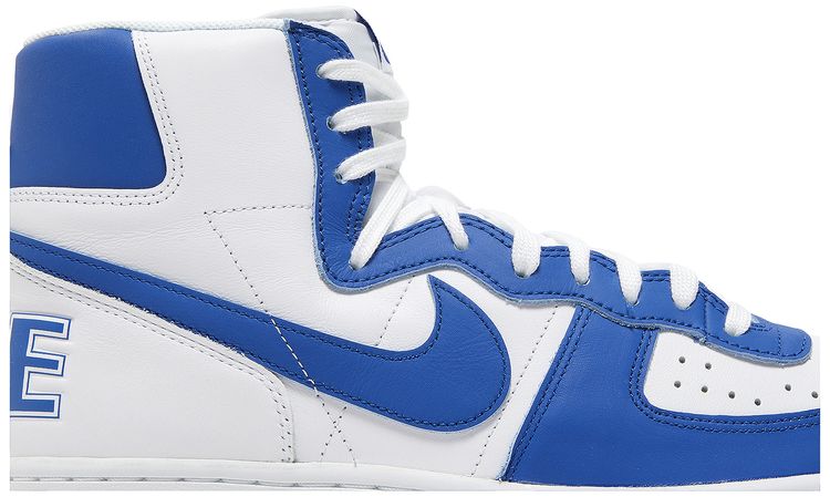 Nike Terminator High Game Royal