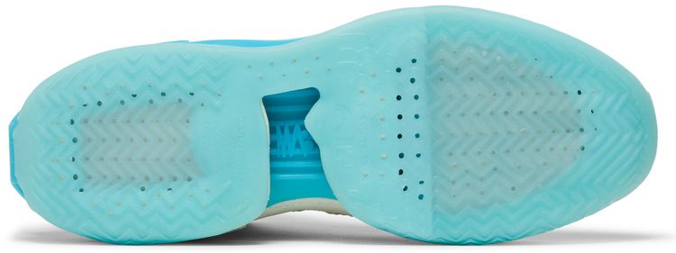 Nike Air Zoom GT Jump Avant Garden