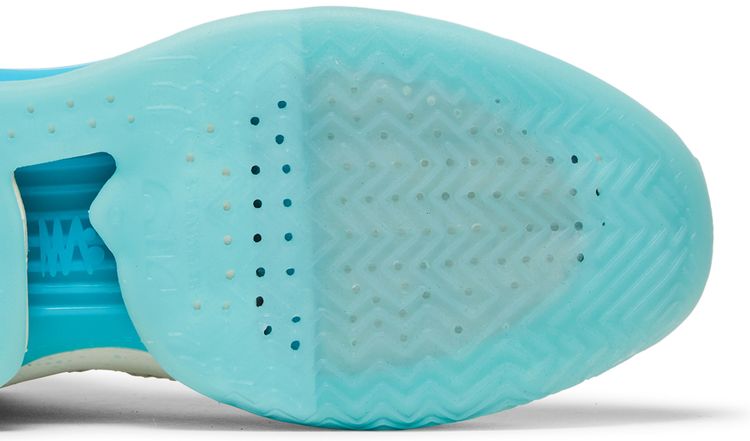 Nike Air Zoom GT Jump Avant Garden