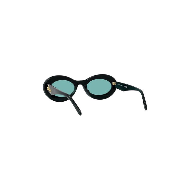Loewe Paulas Ibiza Oval Sunglasses Shiny BlackBlue