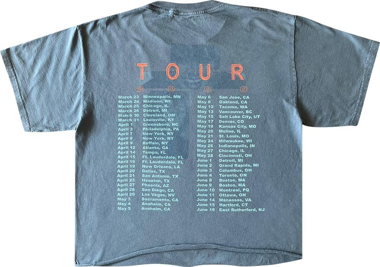 Vintage Tina Turner Cropped Twenty Four Seven Tour Tee Slate