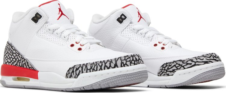 Sneaker Politics x Air Jordan 3 Retro GS Hall of Fame