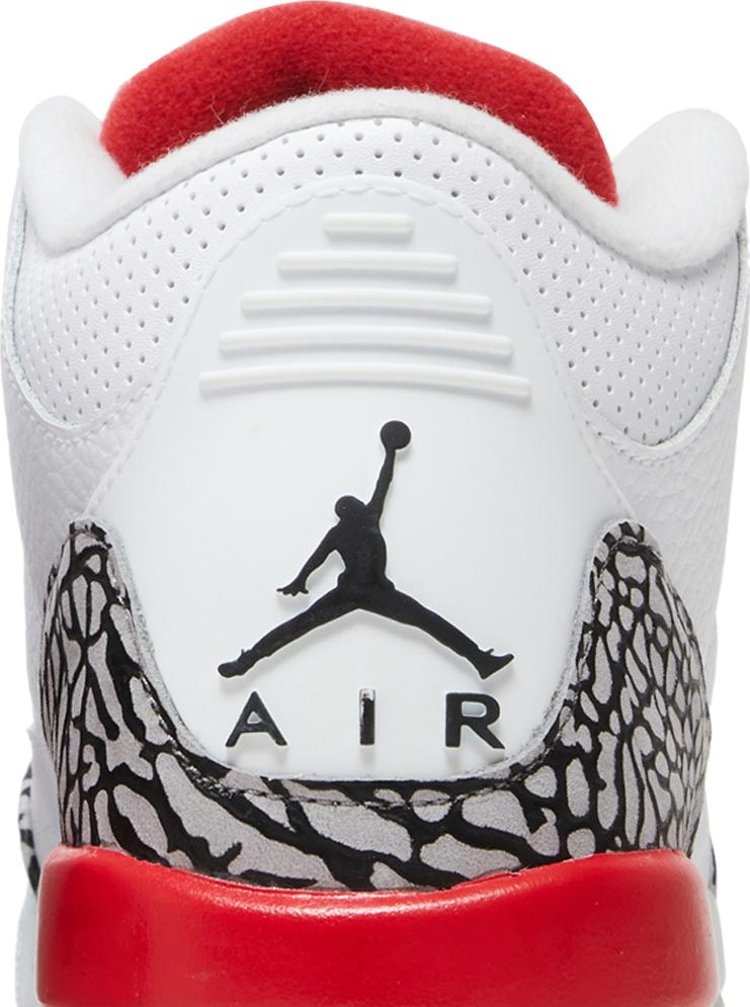 Sneaker Politics x Air Jordan 3 Retro GS Hall of Fame