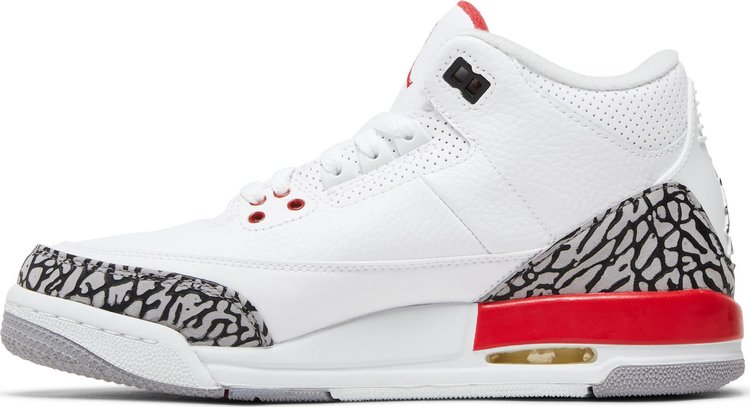 Sneaker Politics x Air Jordan 3 Retro GS Hall of Fame