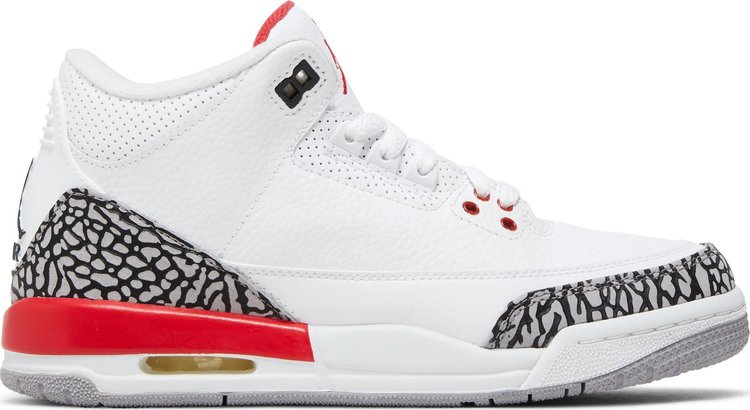 Sneaker Politics x Air Jordan 3 Retro GS Hall of Fame