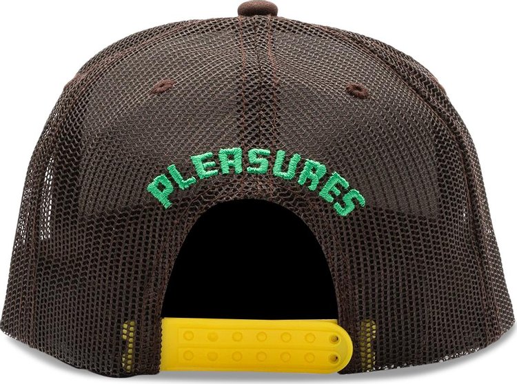 Pleasures Sonic Youth Trucker Brown